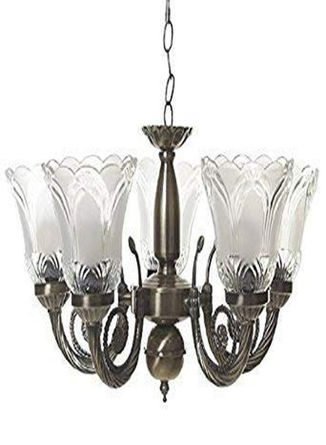 Areezo 5 Lamp Hanging Ceiling Pendant Imported Contemporary Portuguese Style Chandelier light - Image 2